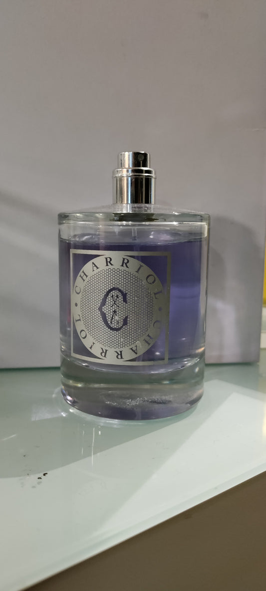 Charriol Infinite Celtic 100ml E.D.T טסטר מחיר